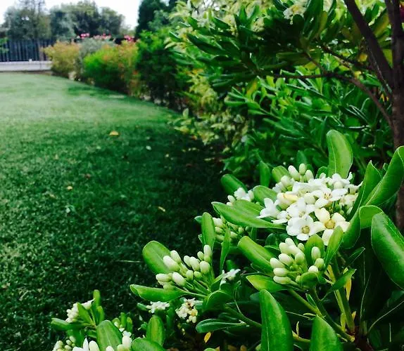 ファームステイ La Torretta ペスカンティーナ